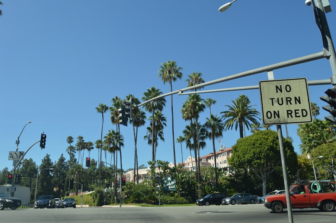 celebrity travel destination