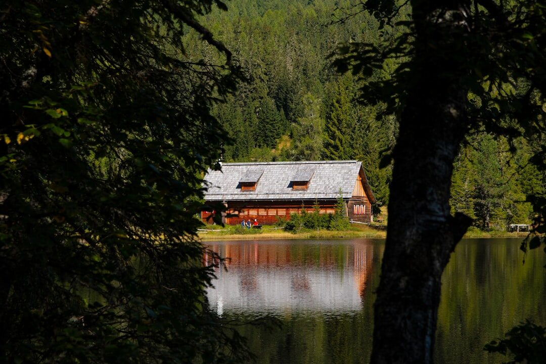 Chalet en bois de luxe au bord du lac des Quatre-Cantons avec terrasse en bois