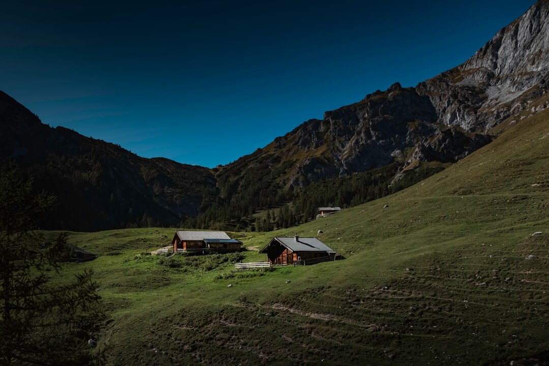 mountain cabin view